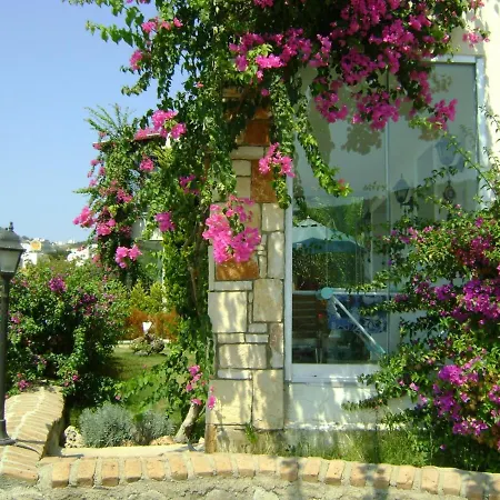 Silvertone 1 * Bodrum