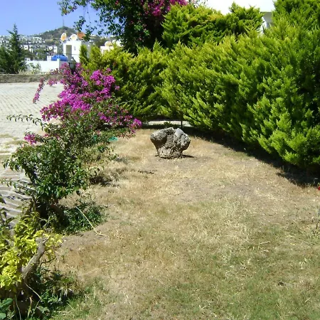 Silvertone 1 Appartement Bodrum